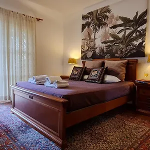  Apartamento T3 - Frei Joao - Pleasant And Cozy Portugal